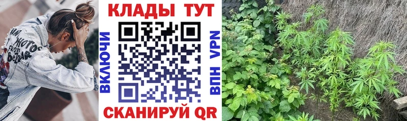 Наркотические вещества Аксай Гашиш Кокаин Меф мяу мяу СК АМФ kraken рабочий сайт Марихуана