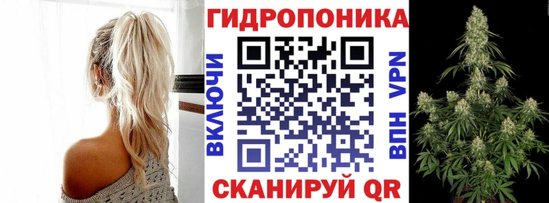 Бошки марихуана Amnesia  Аксай 